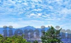 caoporn成人免费视频在线-探索成人内容与网络安全的边界