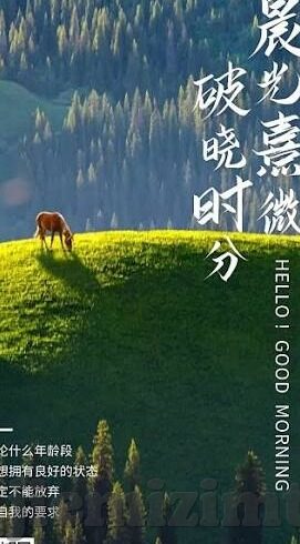 麻豆传媒夏晴子-麻豆传媒与夏晴子的不凡之旅