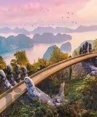哪里才能找到糖心app-解密糖心app的妙用之地，揭秘真实用户的分享心得