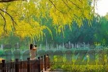 糖心vlog破解版下载安装-紧跟潮流边，解锁糖心Vlog的趣味之旅