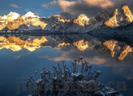 天堂av电影日韩-探索文化与艺术的多元视角，日韩影视的独特魅力