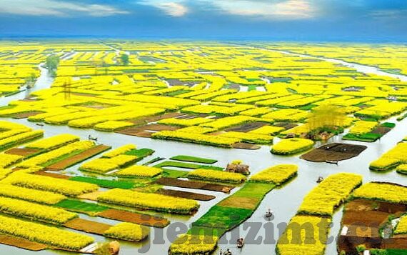中文字幕文件下载-探索中文字幕文件下载的便捷与挑战